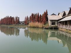 -乌村