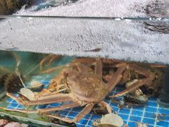 -和源祥·日照菜扛把子(万平口一店)