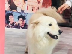 -肆兮眼镜·蔡司·徕卡战略合作店(大坪店)