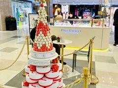 -PAUL LAFAYET 法式甜品(港汇广场店)