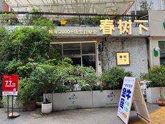 -春树下·树屋花房西餐厅(罍街AS1980店)