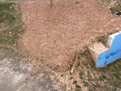 -青藏高原野生动物园