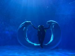 -多彩贵州城极地海洋世界