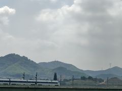 -光明小镇欢乐田园