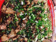 青椒兔-东吴霸王兔(松青路店)