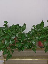 -奥本瑜伽·普拉提