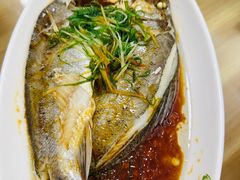 -日日香卤鹅饭店·澄海狮头鹅(澄海店)