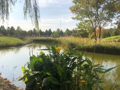 -安德鲁户外烧烤帐篷营地(马泉营店)