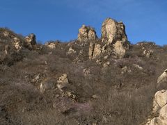 -大岭沟猕猴桃谷风景区