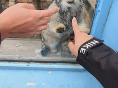 -青藏高原野生动物园
