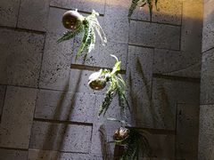 -泰傳奇