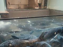 -上名堂·鱼头好吃(体育场路店)