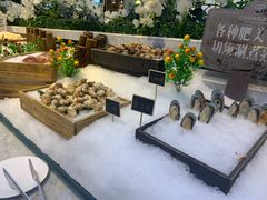 -川骄海鲜自助(河东店)