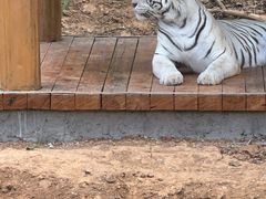 -石家庄市动物园