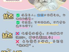 -翊宠yipet猫狗购宠庄园