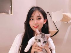-飞行喵MR PILOT|猫舍·猫咖(静安大融城店)