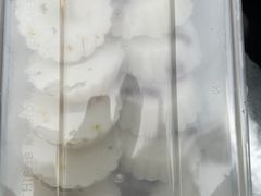 -老南昌白糖糕(大士院店)