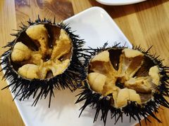 活海胆-海胆小馆(春柳店)