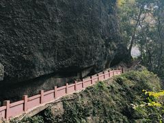 -青城山