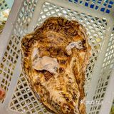 人生建议：去吃一次，节省一次去宁波的钱