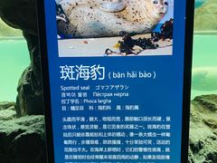 -蓬莱欧乐堡海洋极地世界