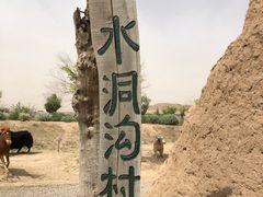 -水洞沟旅游区