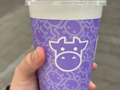 -一只酸奶牛(八一路店)