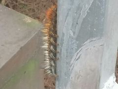 -浏阳石牛寨风景区