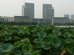 -尚贤河湿地