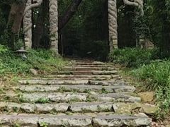 -外蒲山