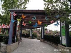 -成飞公园