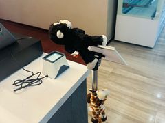 -ZOO COFFEE动物园咖啡(望京锐创店)