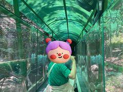 -灵栖洞天