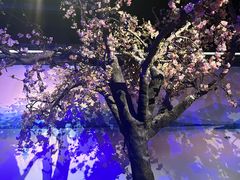 -绿茶餐厅(朝阳大悦城店)