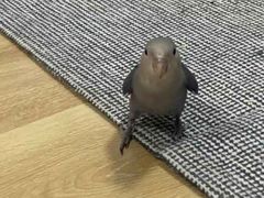 -白玉串城(南六中路店)