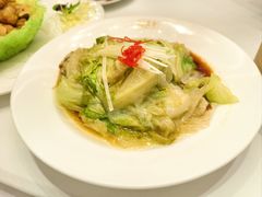 蚝油西生菜-全聚德(哈尔滨店)