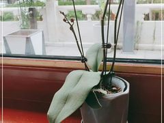 -东门烤鸭店(鼓楼店)