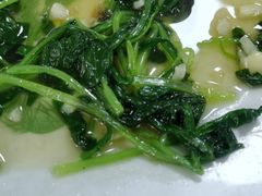 炒萝卜叶-邮电新村嘉积鸭美味园