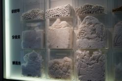 -太湖雪蚕桑文化园