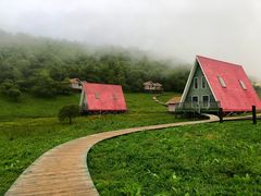 -关山草原