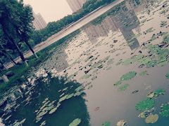 -后襄河公园