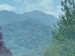 -陕西省红河谷森林公园