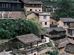 -杨家堂村