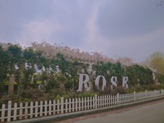 -郑州植物园