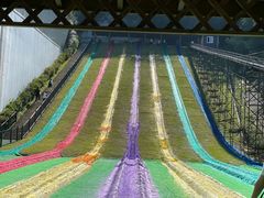 -梦幻奥陶纪景区