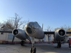 -云岗森林公园