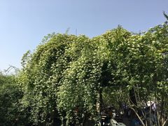 -成都南湖公园