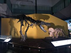 -湖南省地质博物馆