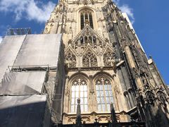 -斯蒂芬主教座堂(Stephansdom)