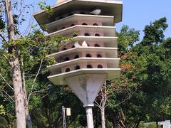 -顺峰山公园